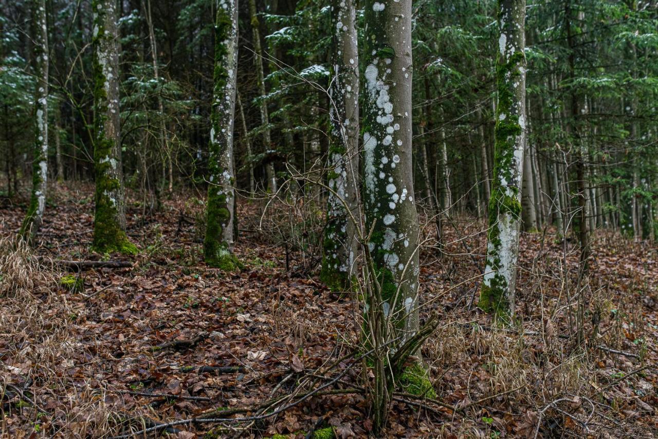 Fantastisch im Naturpark Altmühltal Greding Exterior foto