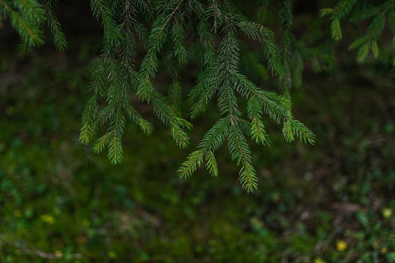 Fantastisch im Naturpark Altmühltal Greding Exterior foto